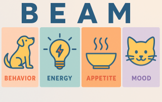BEAM: Behavior, Energy, Appetite, Mood