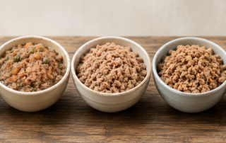 A row of bowls with cat food