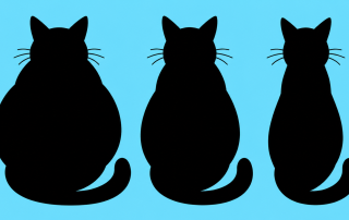Three cat silhouettes, fat to normal weight.
