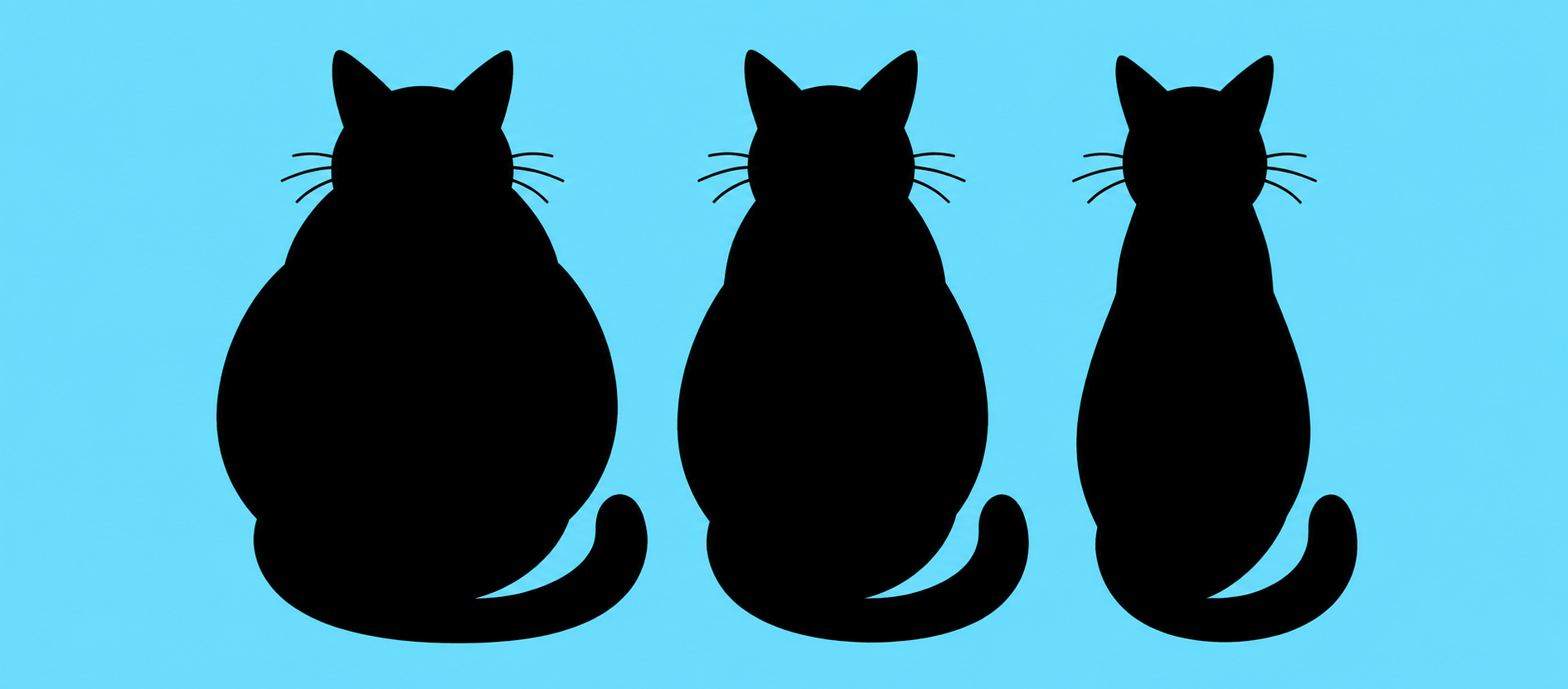 Fat Cats: feed the cat to lose the fat